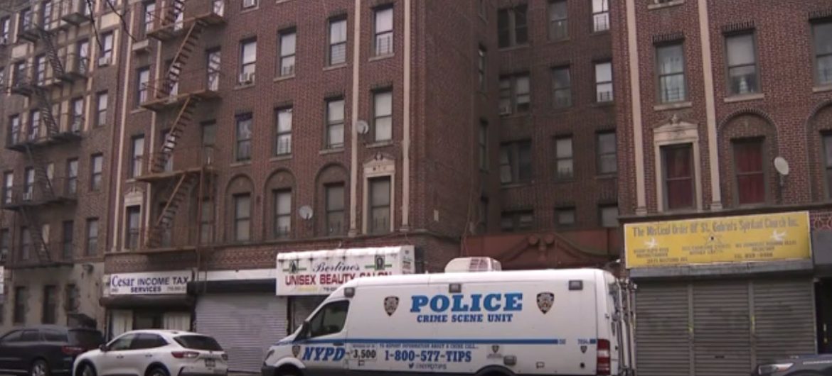Disturbing Discovery in Brooklyn: Woman in Custody After Body Parts Found in Freezer