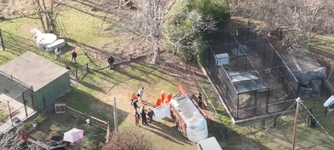 Judge Issues Mixed Ruling in Natural Bridge Zoo Animal Seizure Case