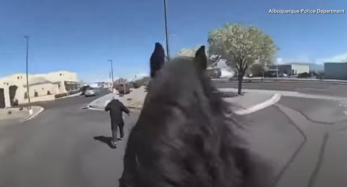 Sticky Fingers Met Swift Hooves: Police on Horseback Corral Alleged Walgreens Thief
