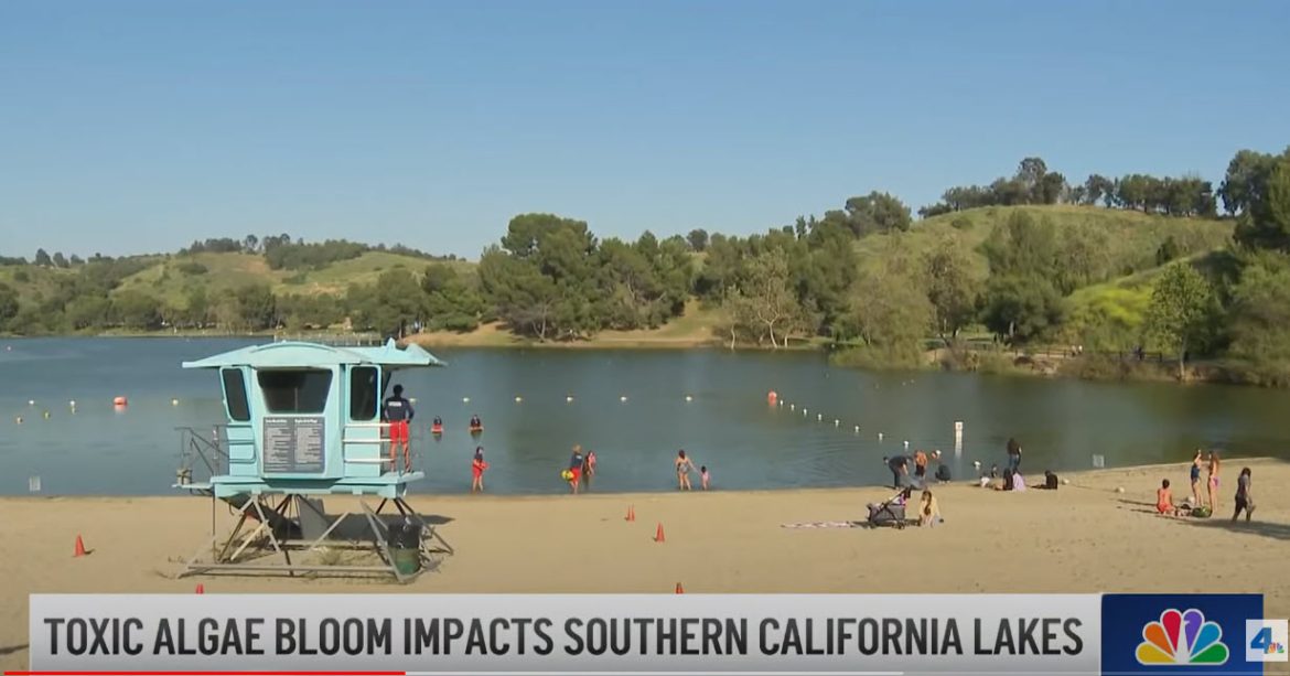Toxic Algae Blooms Return to the Inland Empire
