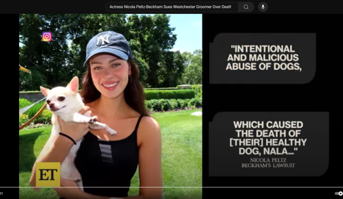 Actress Nicola Peltz-Beckham Sues Westchester Groomer Over Death of Dog