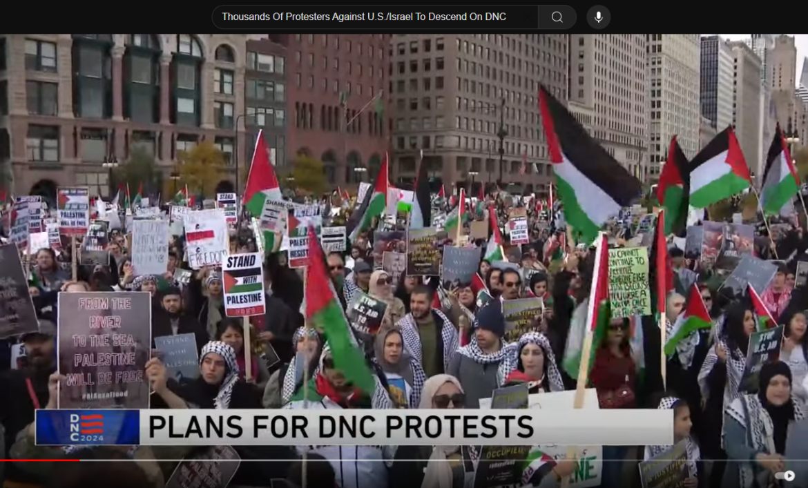 Thousands of Pro-Palestinian Protesters to Rally Outside Democratic National Convention in Chicago