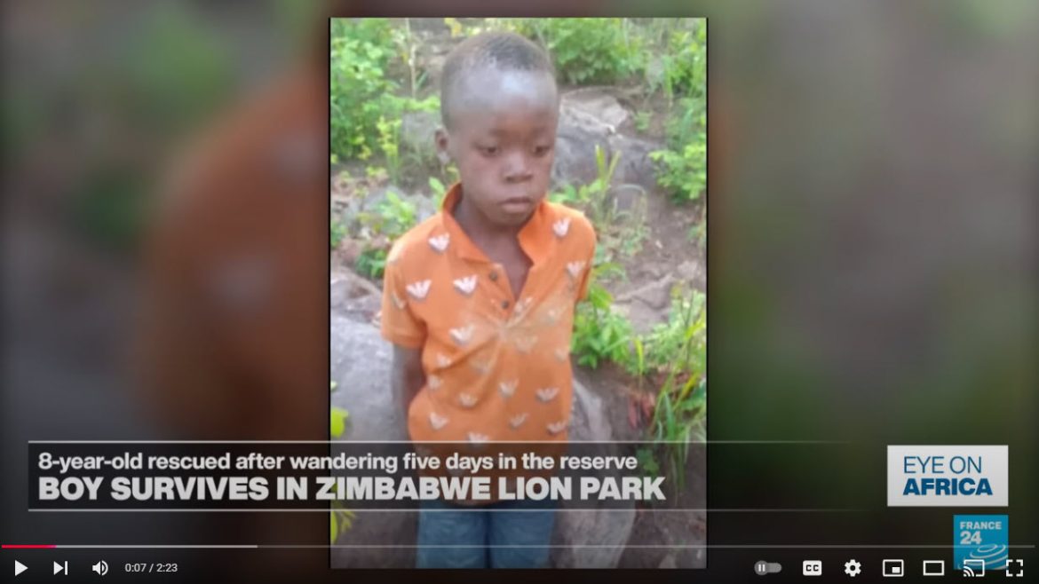 Seven-Year-Old Boy Rescued After Five Days in Lion-Infested Zimbabwe Game Park