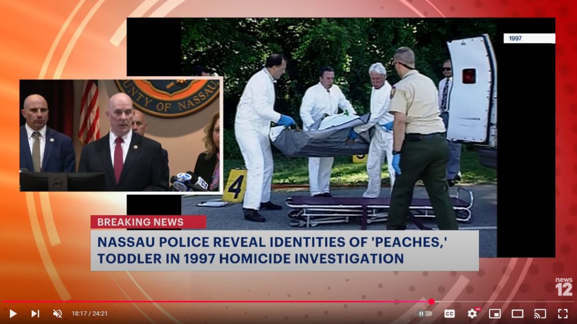 Gilgo Beach Cold Case Victims Identified After Decades: "Peaches" Revealed as Army Veteran Tanya Denise Jackson and Her Daughter